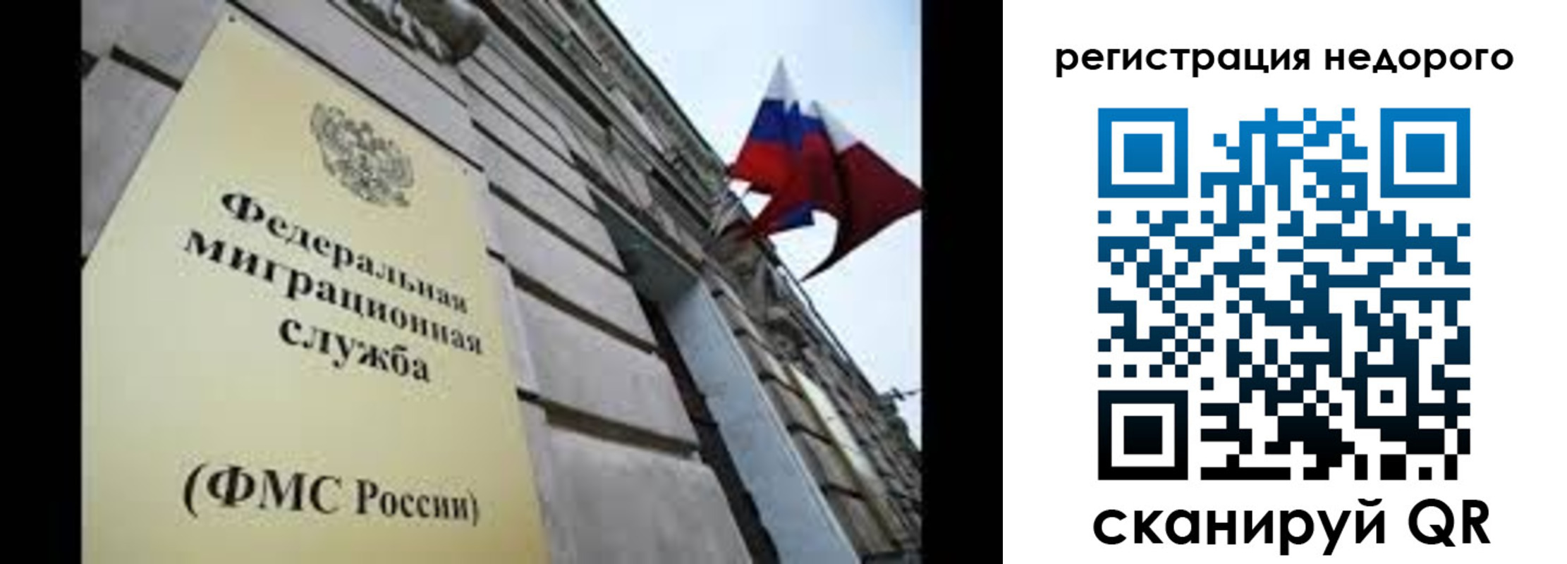 прописка поиск в Порхове